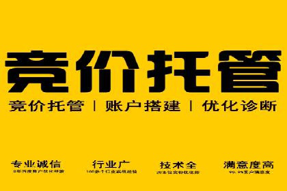 某行业sem百度竞价全解析